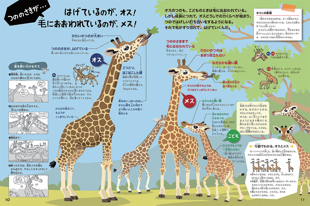 見分け方がわかる絵本図鑑 ２冊そろって新装版が登場 学研の図鑑ｌｉｖｅ どうぶつブック 学研グループ Gakken