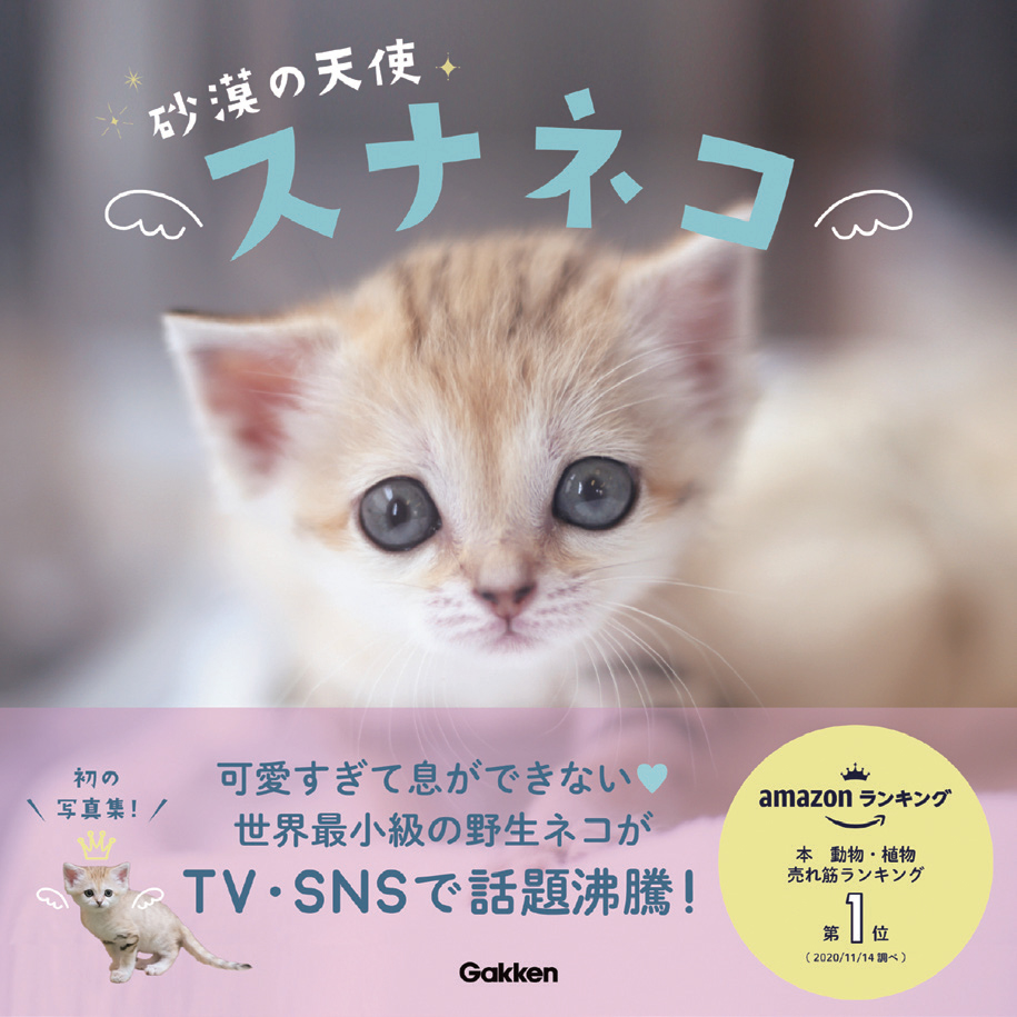 Tvやsnsで話題沸騰 スナネコ赤ちゃんの成長が１冊に 学研グループ Gakken