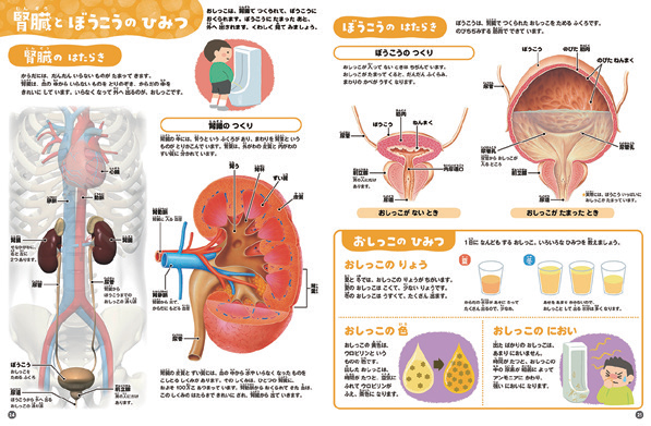 理系脳が育つ しかけ絵本図鑑 めくって学べる シリーズ最新刊 学研グループ Gakken