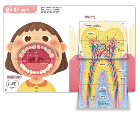 理系脳が育つ しかけ絵本図鑑 めくって学べる シリーズ最新刊 学研グループ Gakken